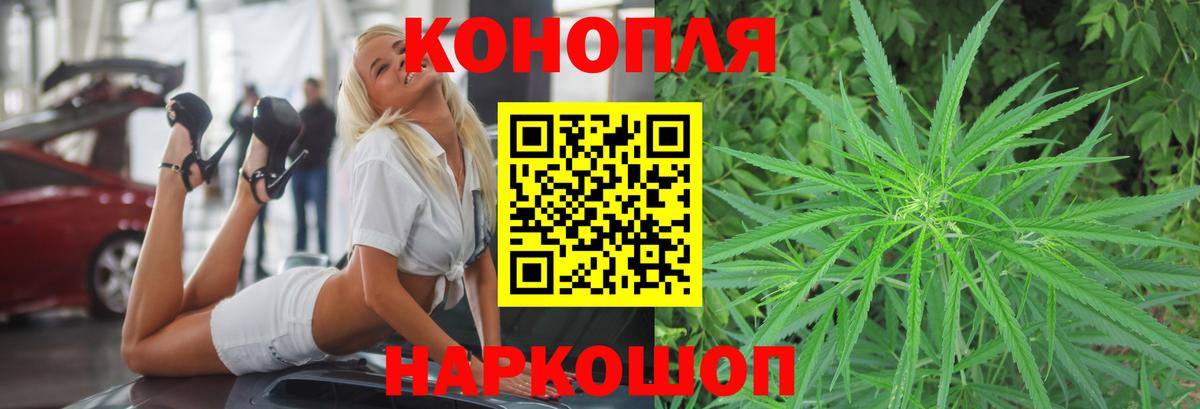 Бошки марихуана семена Зерноград